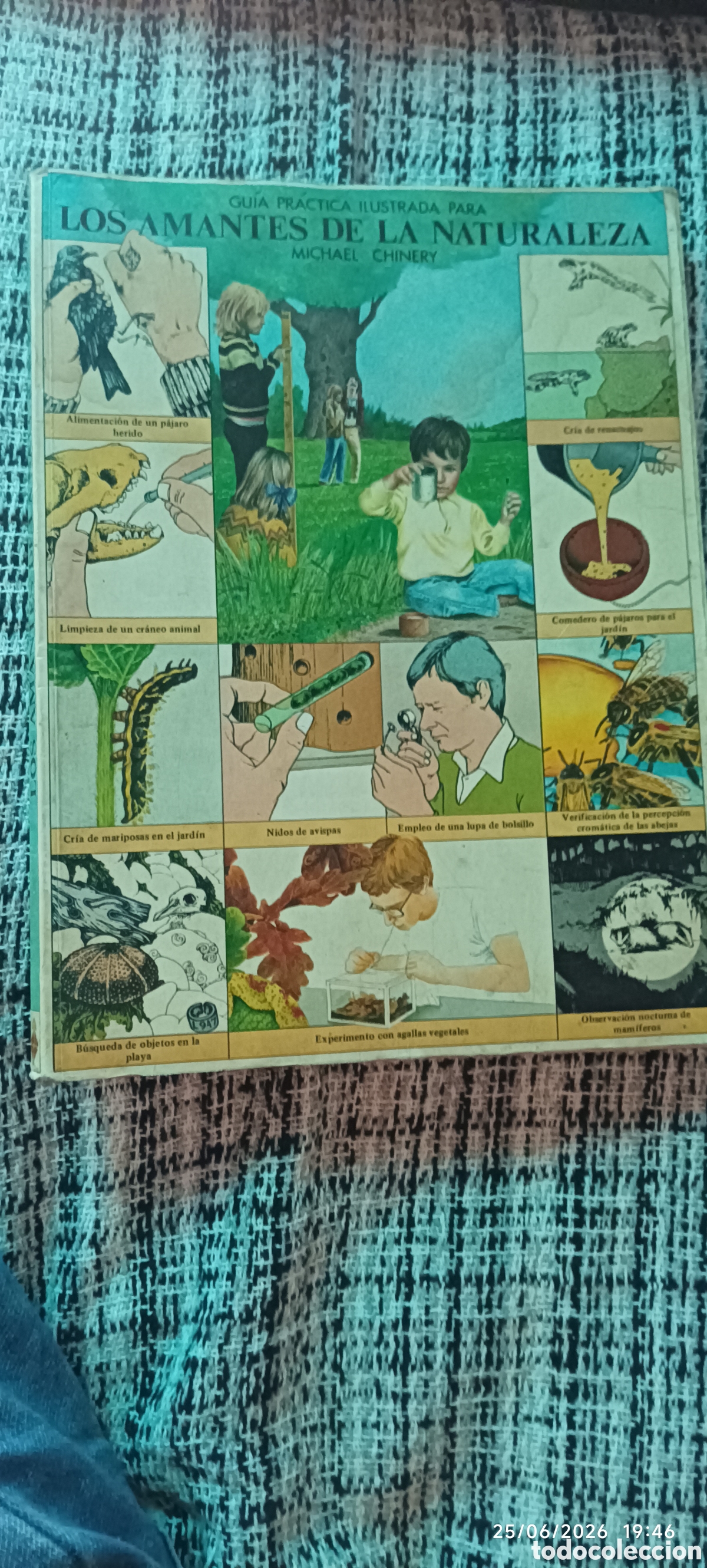 Libros: Guia pr&agrave;ctica ilustrada para los amantes de la naturaleza Michael Chinery