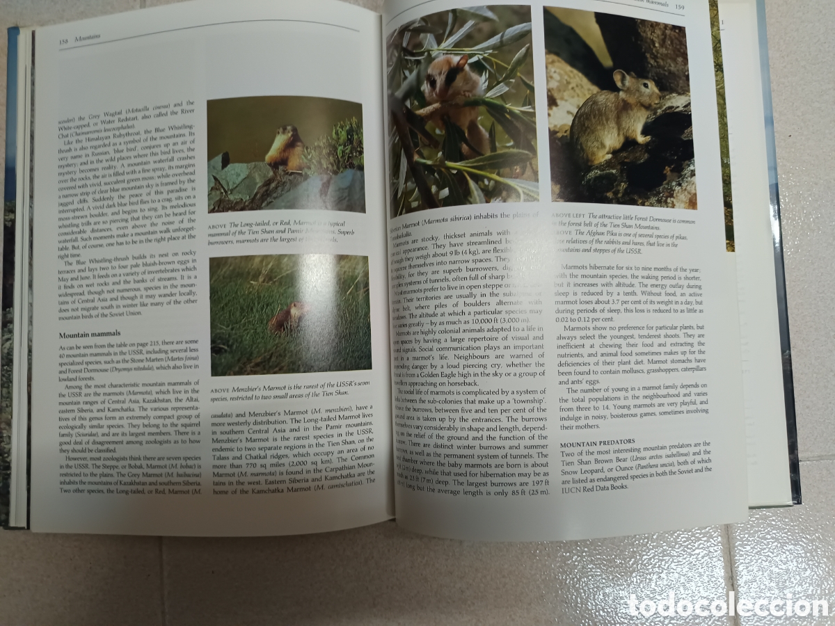 Libros: Libro de historia natural de la URSS - Foto 2