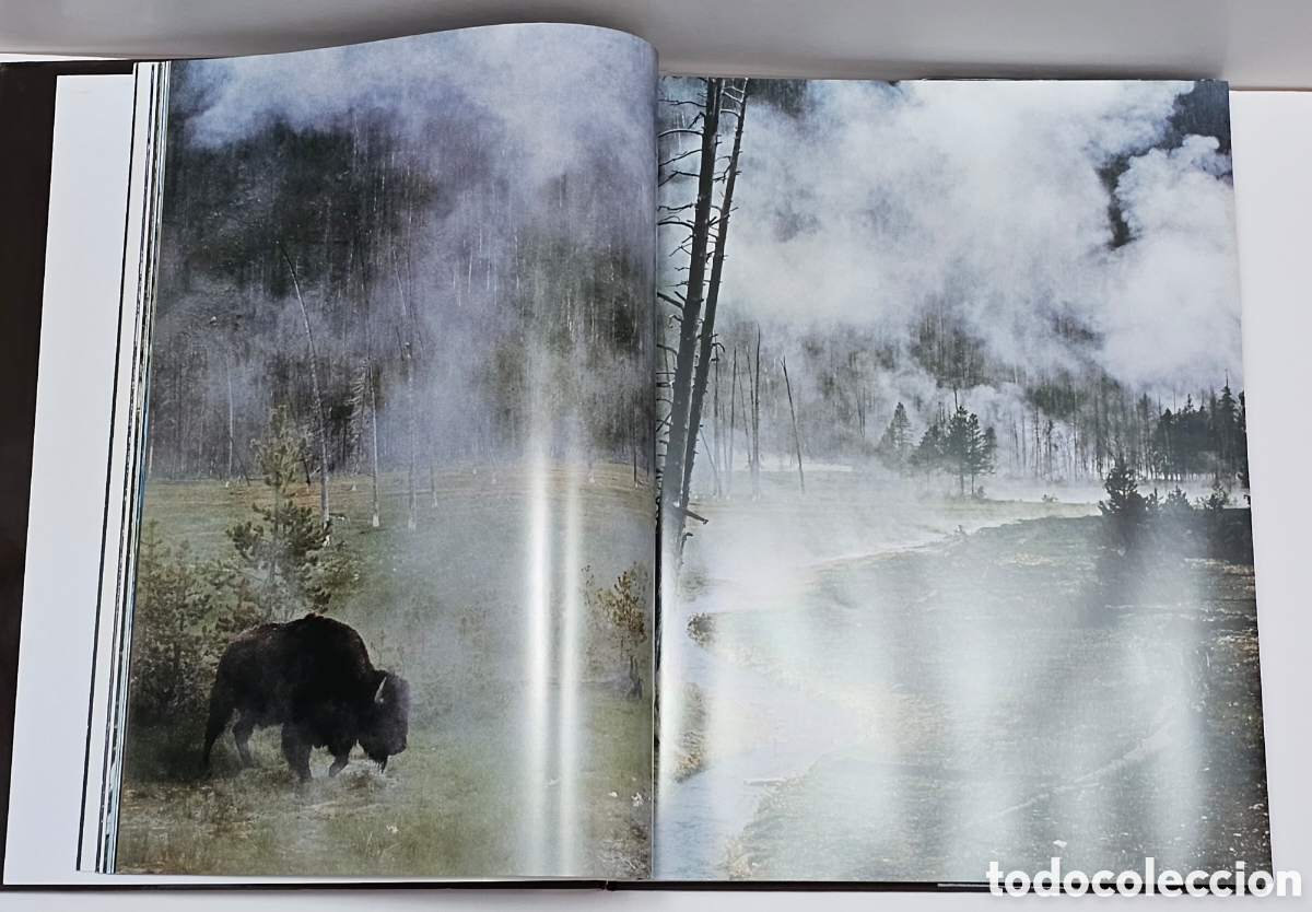Libros: Libro Lunwerg - Tierra Joaqu&iacute;n Ara&uacute;jo - Foto 7