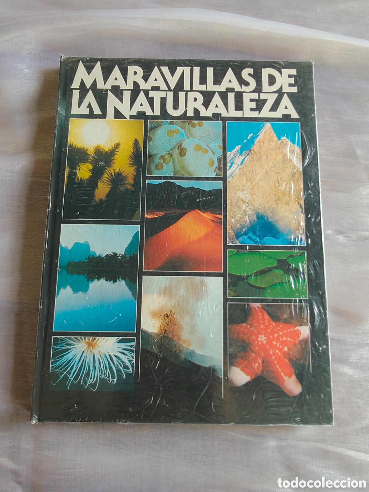 Libros: Maravillas de la Naturaleza &ndash; Libro ilustrado gran formato tapa dura &ndash; Nuevo precintado
