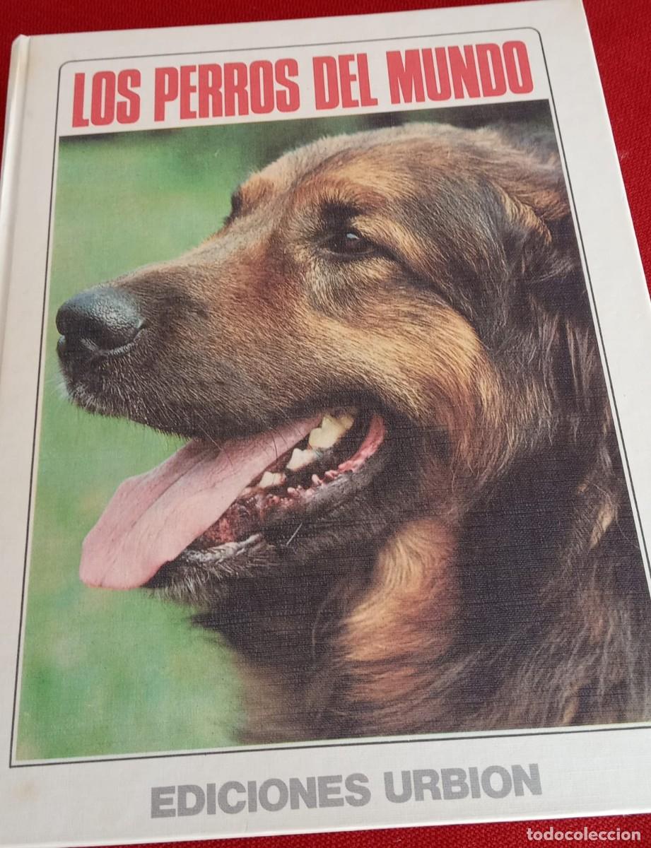 Libri: LIBRO PERROS DEL MUNDO -ED. URBION-FOTOS / HISTORIA Y DETALLES DE LAS RAZAS CANINAS DEL MUNDO- FOTOS