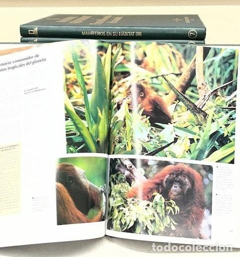 Libros: 17 tomos de National Geographic - Foto 2