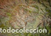 Libros: MAPA EN 3D DE LOS TRES MACIZOS DE LOS PICOS DE EUROPA - ADRADOS, MIGUEL ANGEL