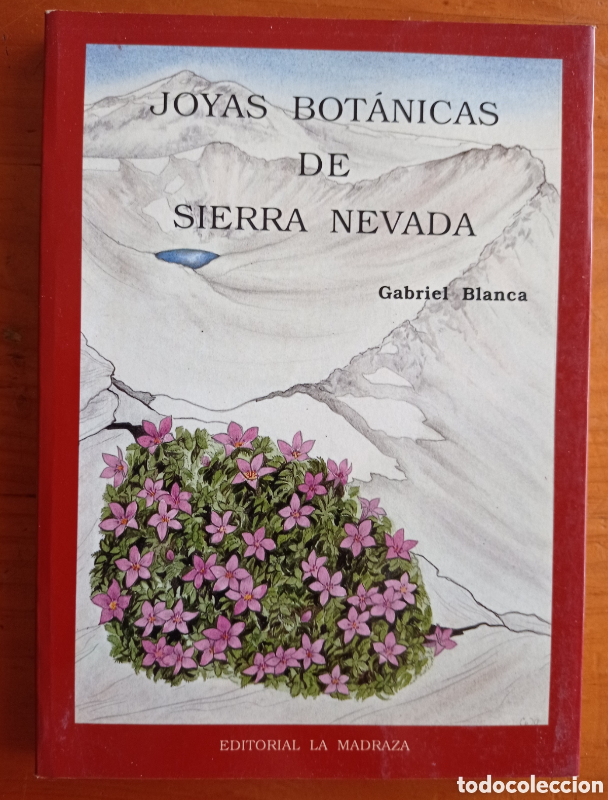 Libros: LIBRO JOYAS BOT&Aacute;NICAS DE SIERRA NEVADA, GABRIEL BLANCA