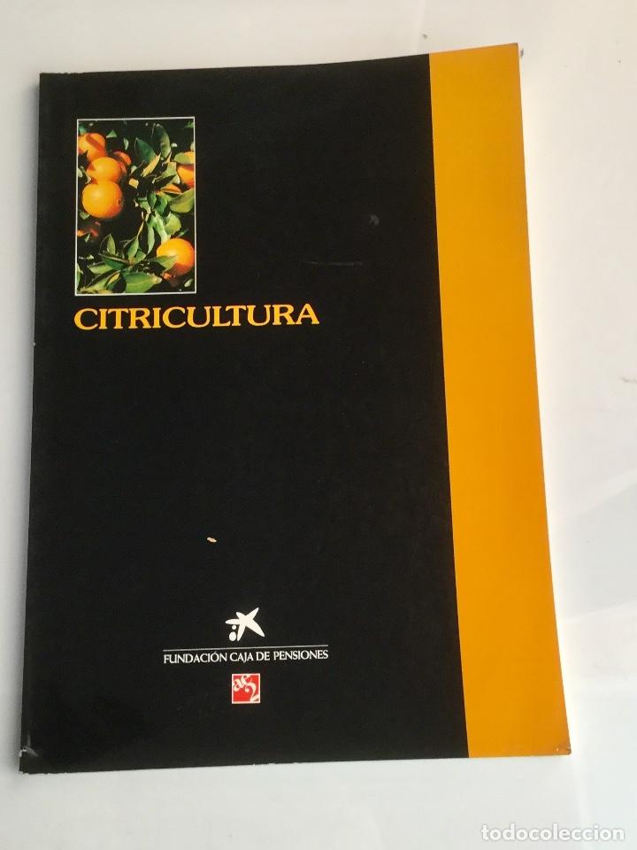 Libros: Citricultura. Aedos. NUEVO - Foto 1