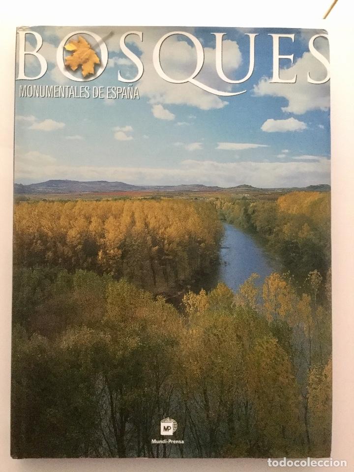 Libros: Bosques monumentales de Espa&ntilde;a. - Foto 1