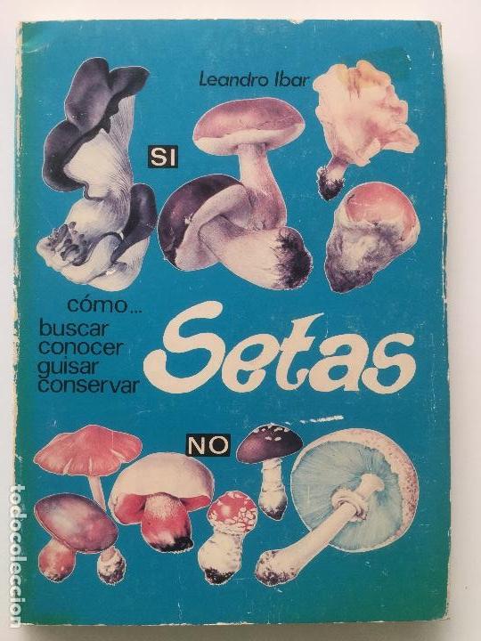 Libros: C&oacute;mo buscar, conocer, guisar, conservar Setas. Aedos. NUEVO - Foto 1