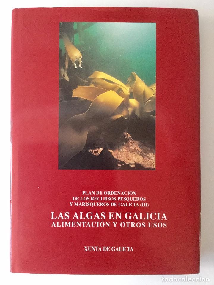 Libros: Las Algas en Galicia. Alimentaci&oacute;n y otros usos. NUEVO - Foto 1