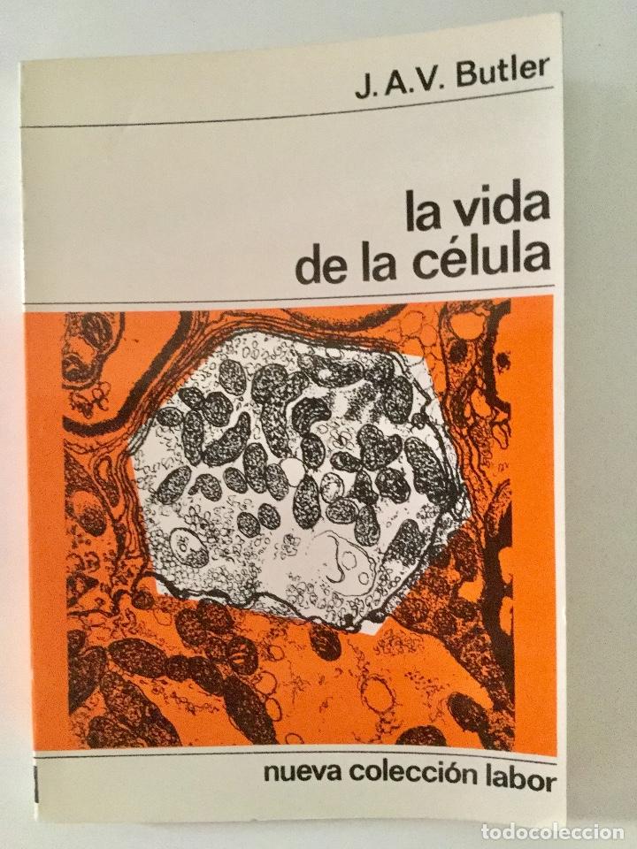 Libros: La vida de la c&eacute;lula. Labor. J.A.V. Butler. NUEVO - Foto 1