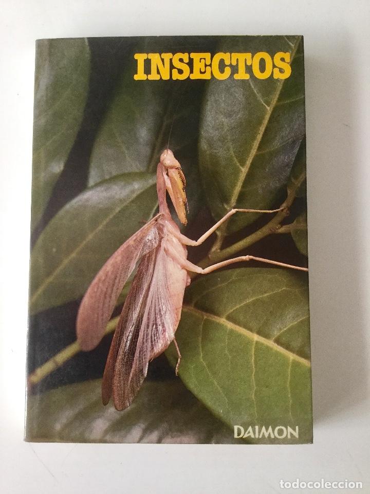 Libros: Insectos. Daimon - Foto 1