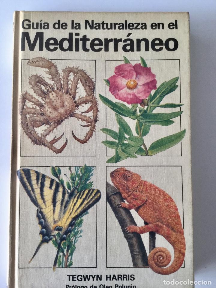 Libros: Gu&iacute;a de la naturaleza en el Mediterr&aacute;neo. - Foto 1