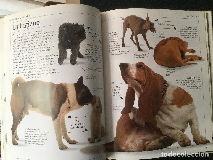 Libros: Conozca a su perro. Gu&iacute;a pr&aacute;ctica para comprender el comportamiento del perro - Foto 2