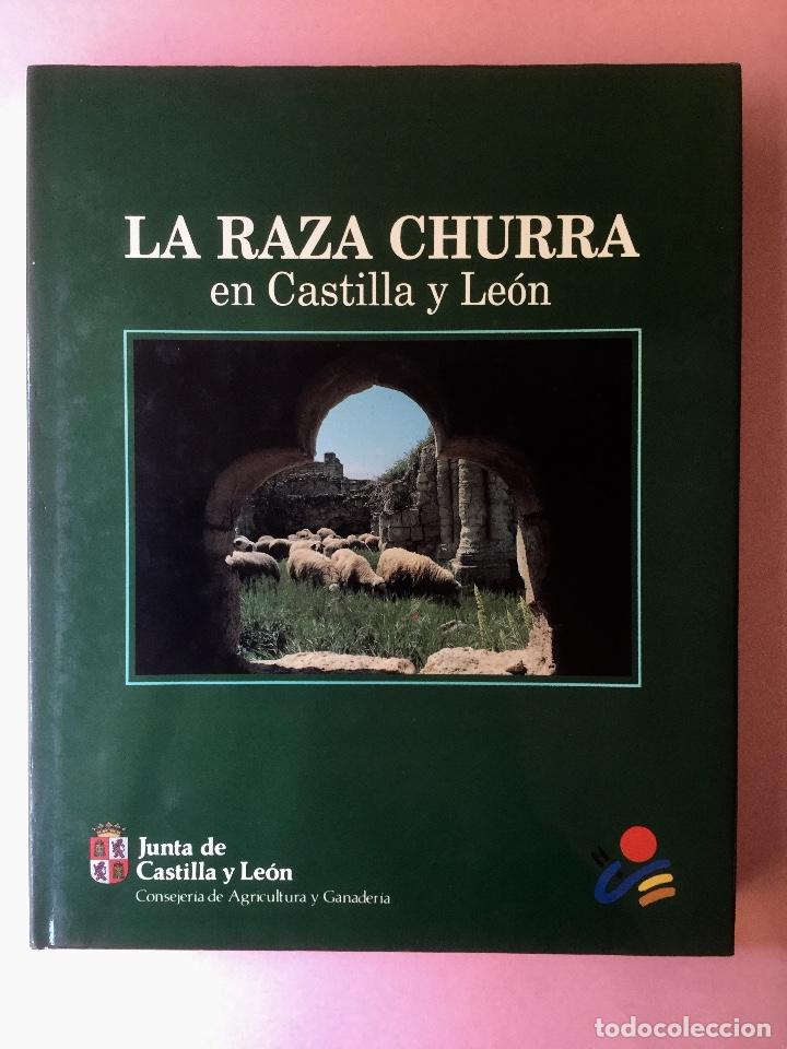 Libros: La Raza Churra. - Foto 1