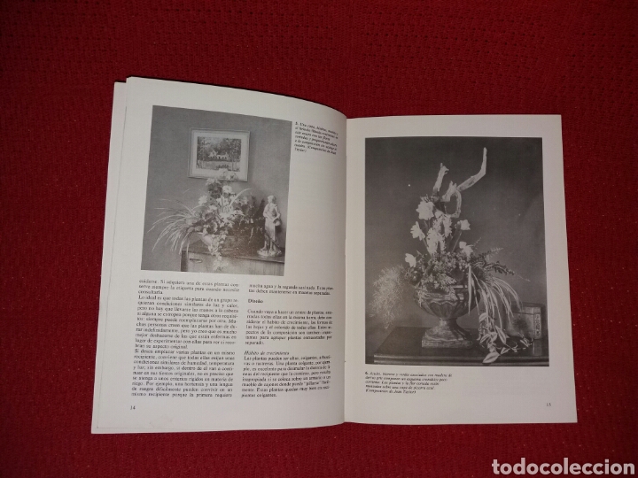 Libros: DECORACI&Oacute;N FLORAL DURADERA - Foto 2