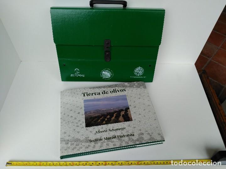 Libros: Malet&iacute;n con libro Tierra de olivos - Foto 1