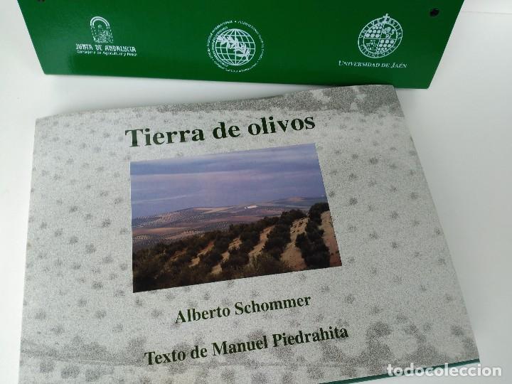 Libros: Malet&iacute;n con libro Tierra de olivos - Foto 2