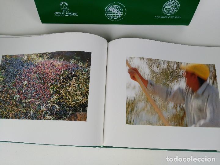 Libros: Malet&iacute;n con libro Tierra de olivos - Foto 3