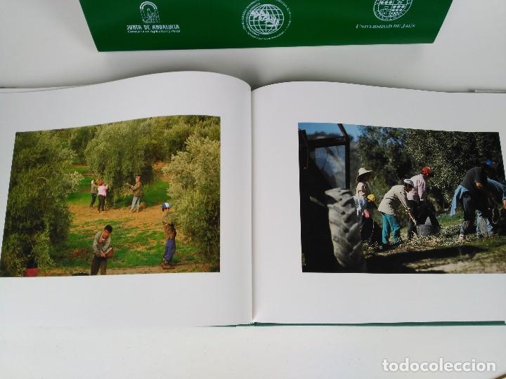 Libros: Malet&iacute;n con libro Tierra de olivos - Foto 4