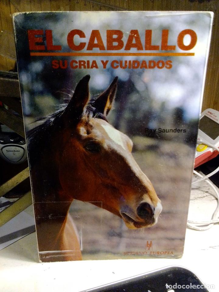 Libros: el cabALLO SU CRIA Y CUIDADOS , RAY SAUNDERS - Foto 1