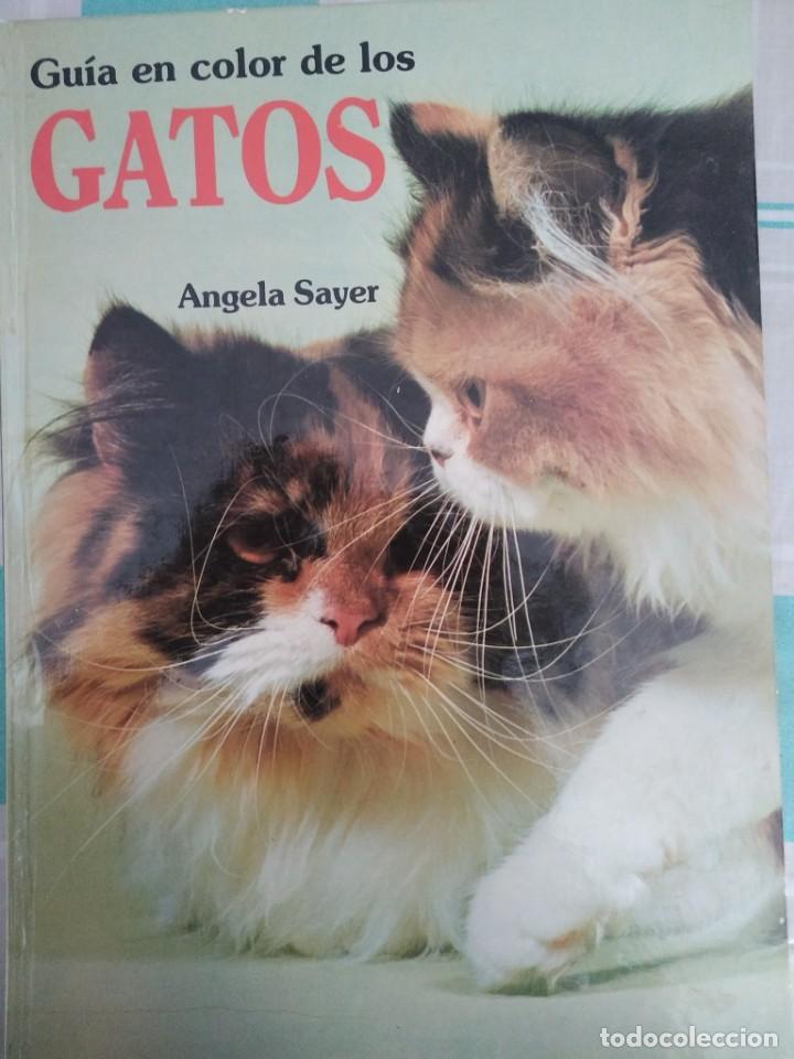 Libros: GU&Iacute;A EN COLOR DE LOS GATOS - Foto 1