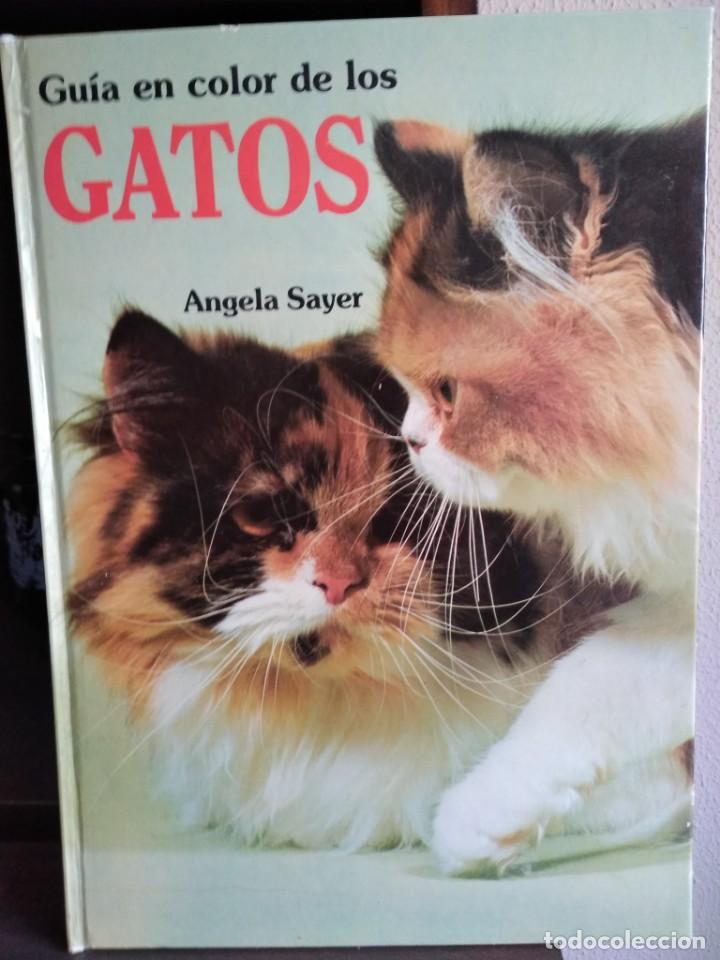 Libros: GU&Iacute;A EN COLOR DE LOS GATOS - Foto 2