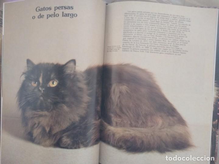 Libros: GU&Iacute;A EN COLOR DE LOS GATOS - Foto 3