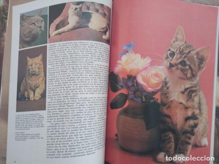 Libros: GU&Iacute;A EN COLOR DE LOS GATOS - Foto 4