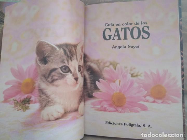 Libros: GU&Iacute;A EN COLOR DE LOS GATOS - Foto 5