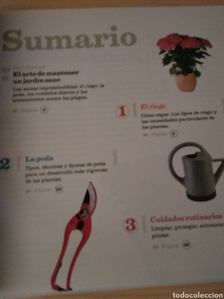 Libros: Riego y mantenimiento. Jardiner&iacute;a 28 - Foto 3