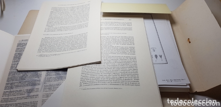 Libros: HORTUS REGIUS MATRINENSIS,CAVANILLES facsimil. - Foto 2