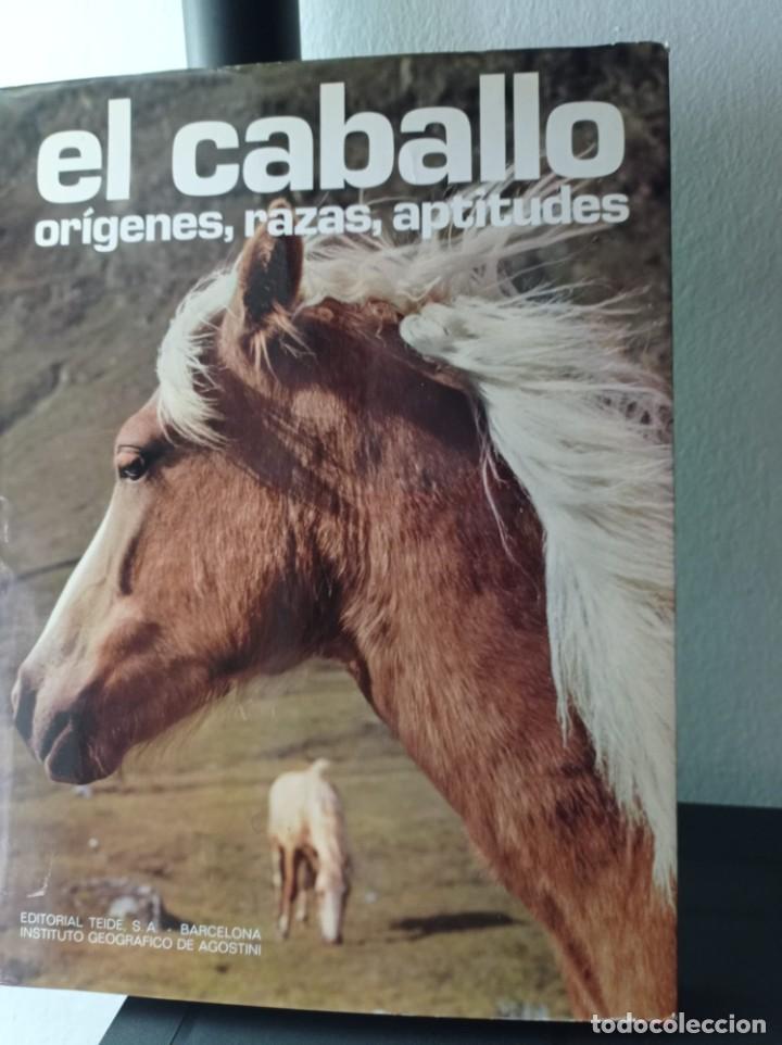 Libros: CABALLO - EL. ORIGENES, RAZAS, APTITUDES NEREO LUGLI - Foto 1