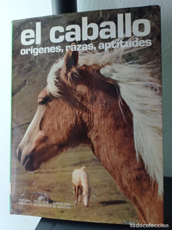 Libros: CABALLO - EL. ORIGENES, RAZAS, APTITUDES NEREO LUGLI - Foto 2