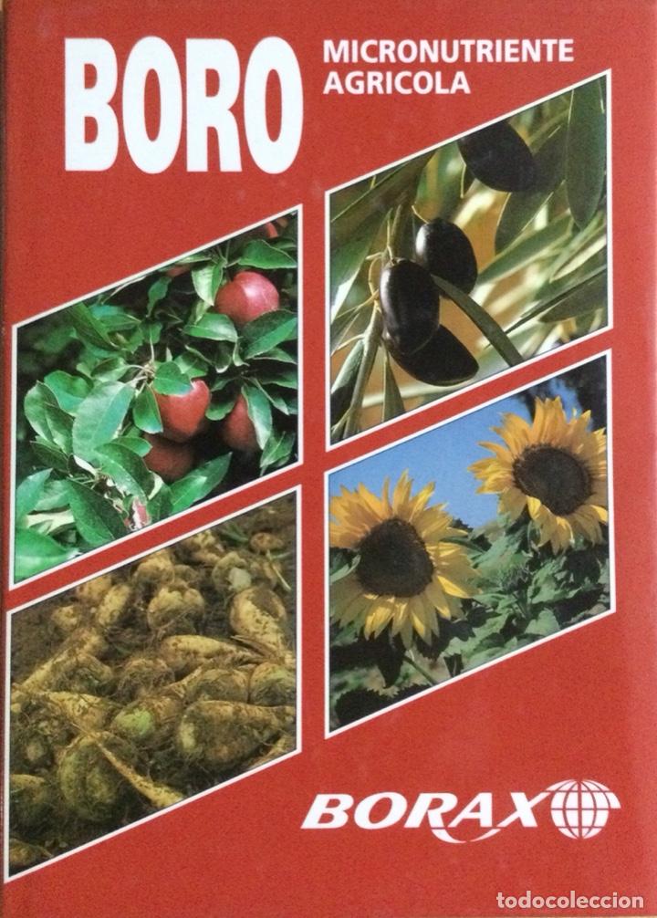Libros: Boro. Micronutriente agr&iacute;cola. B&oacute;rax. NUEVO - Foto 1