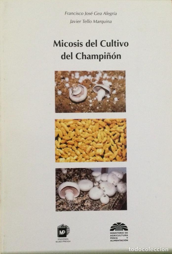 Libros: Micosis del Cultivo del champi&ntilde;&oacute;n. - Foto 1