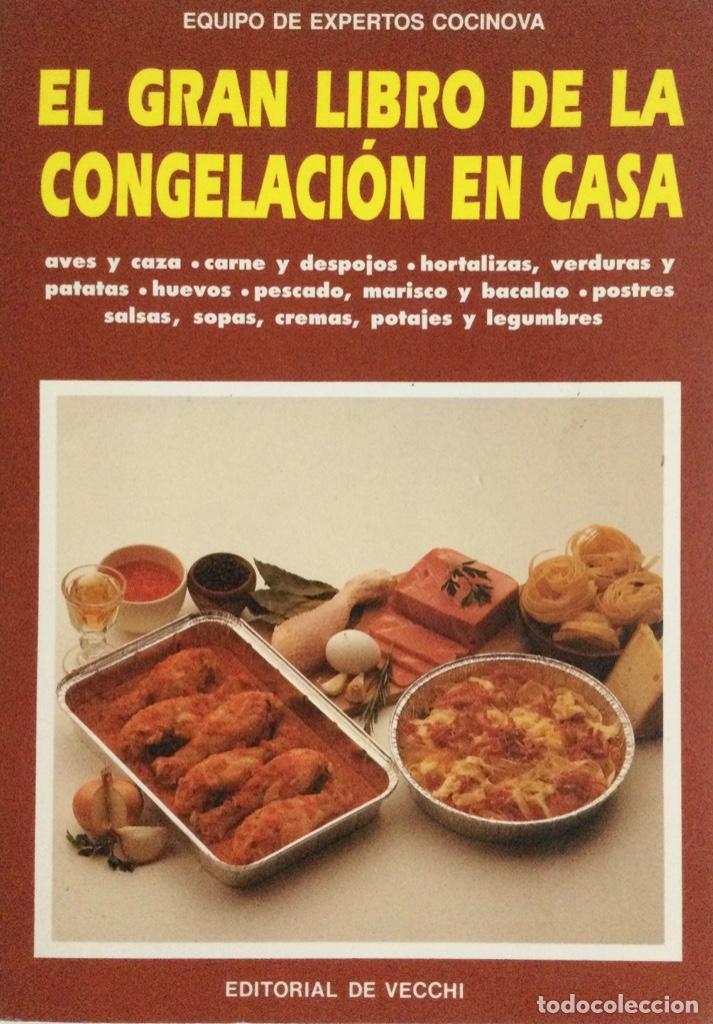 Libros: El Gran libro de la congelaci&oacute;n en casa. De Vecchi. NUEVO. - Foto 1