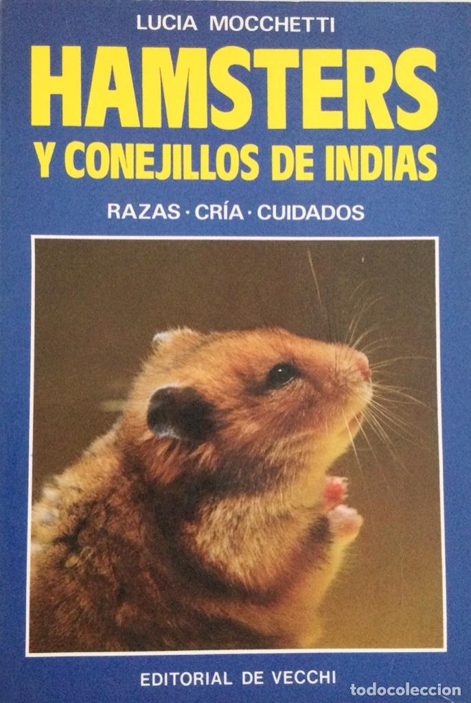 Libros: Hamsters y conejillos de indias. De Vecchi. NUEVO - Foto 1