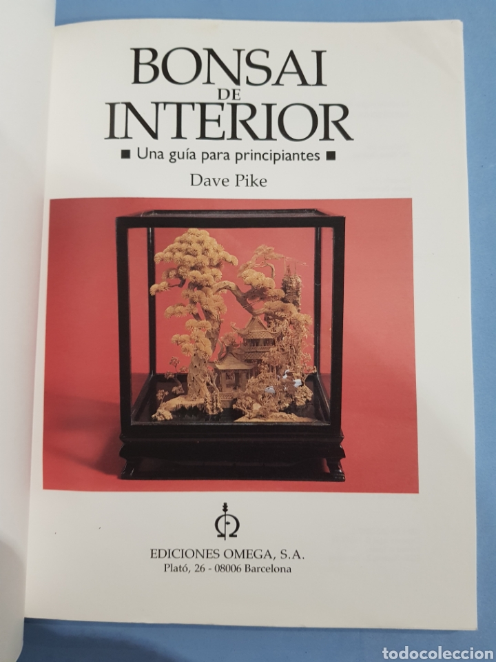 Libros: Bonsai de Interior ,Dave Pike ,Ediciones Omega, a&ntilde;o 1991 - Foto 2