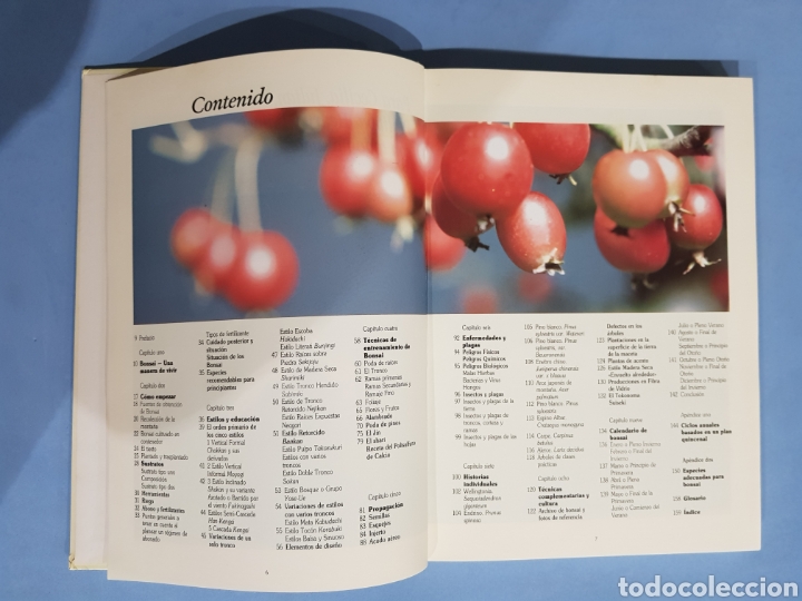 Libros: El Libro del Bonsai ,Dan Barton , a&ntilde;o 1990 - Foto 3