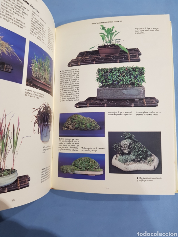 Libros: El Libro del Bonsai ,Dan Barton , a&ntilde;o 1990 - Foto 4