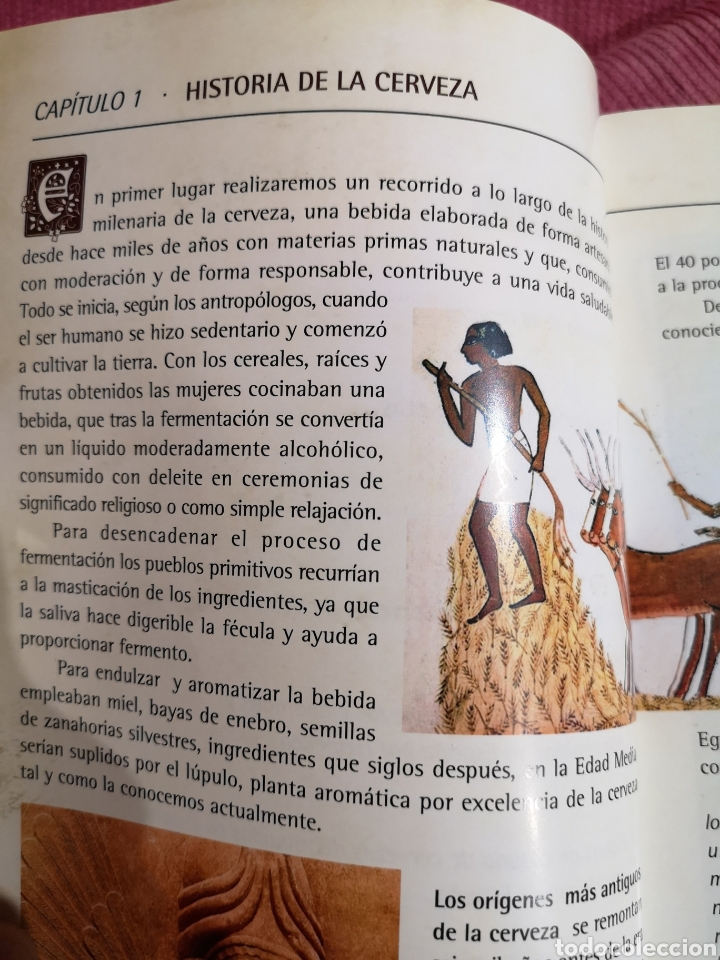 Libros: El Mundo de las Cervezas Heineken - Foto 6