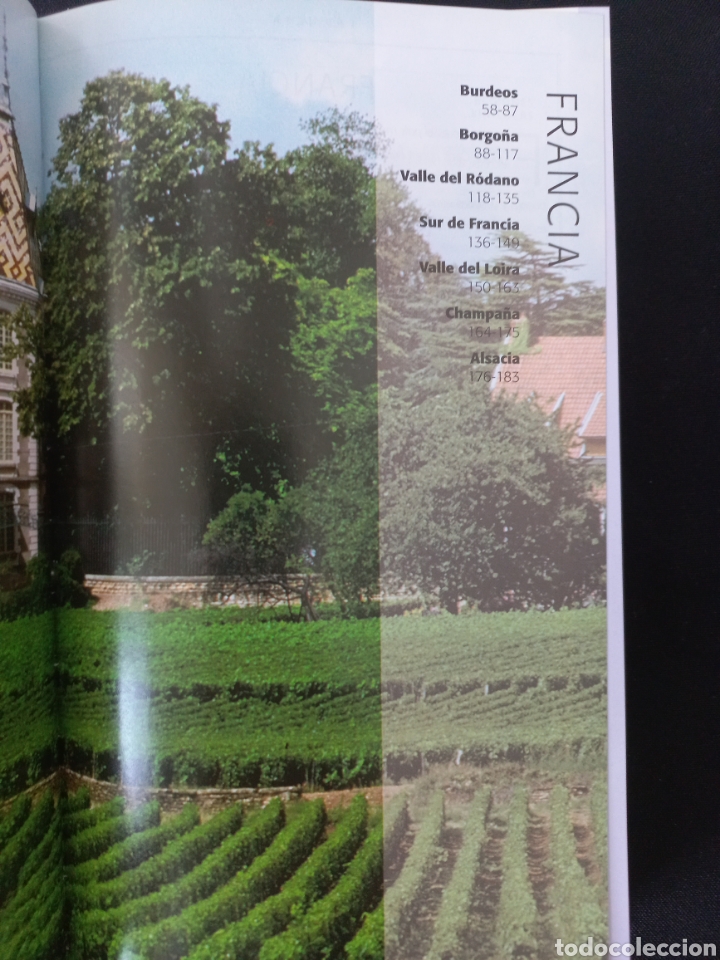 Libros: GU&Iacute;A ESENCIAL DEL VINO. ESPASA - Foto 4