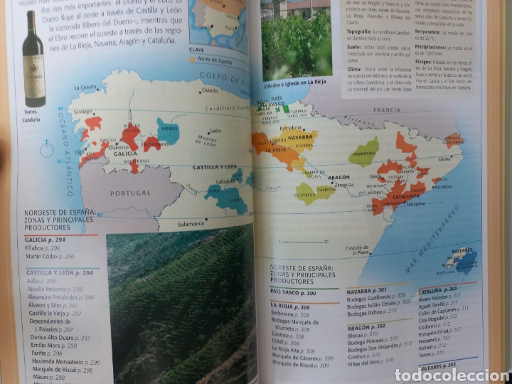 Libros: GU&Iacute;A ESENCIAL DEL VINO. ESPASA - Foto 6