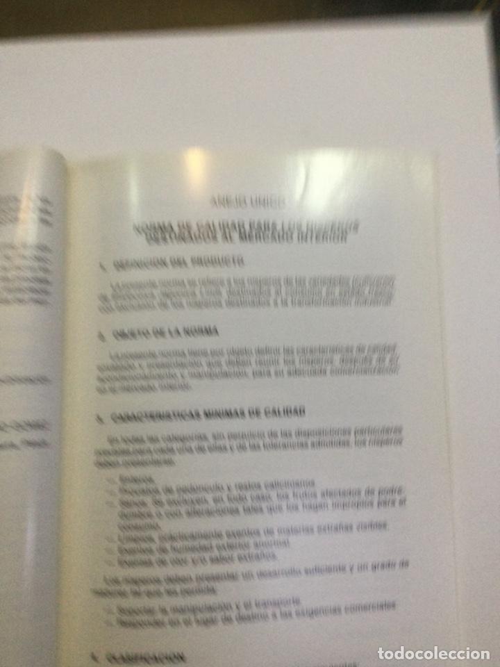 Libros: Norma de calidad para nisperos. NUEVO. - Foto 2