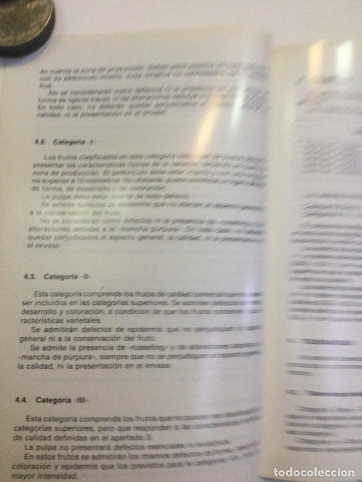Libros: Norma de calidad para nisperos. NUEVO. - Foto 3