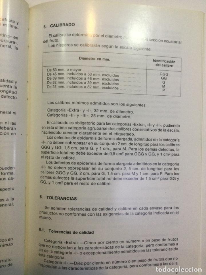 Libros: Norma de calidad para nisperos. NUEVO. - Foto 4