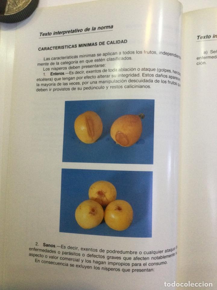 Libros: Norma de calidad para nisperos. NUEVO. - Foto 8