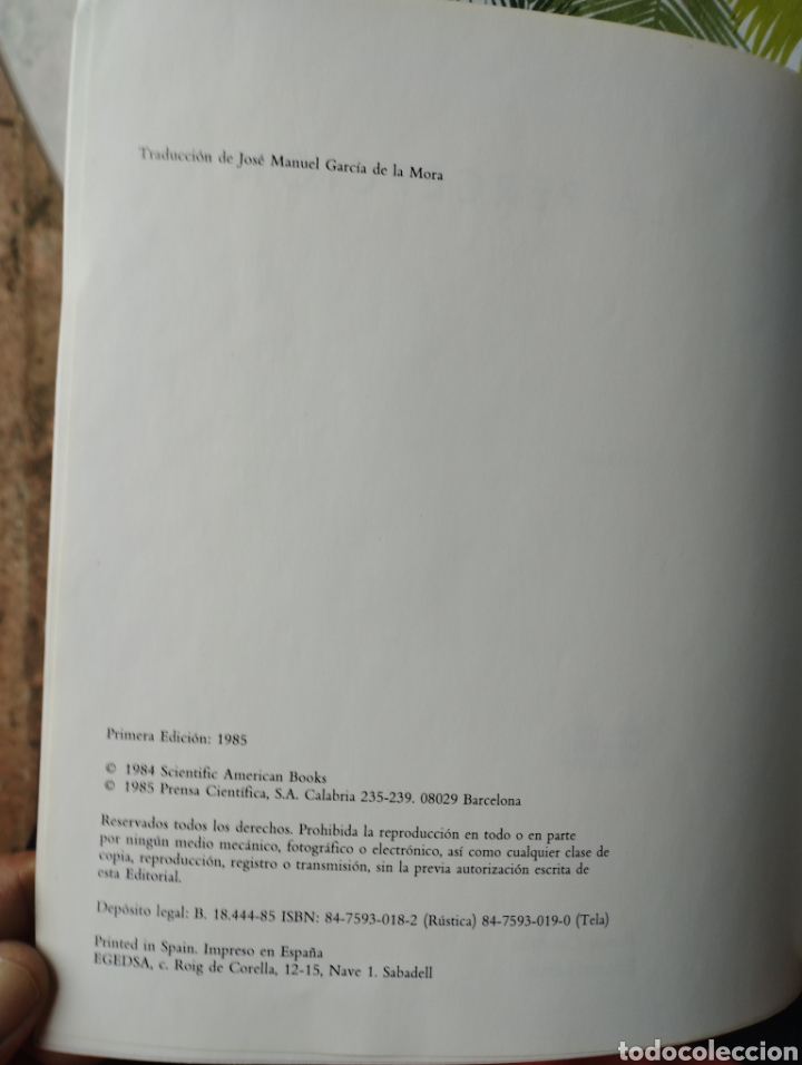 Libros: La percepci&oacute;n a&ntilde;o 1985 - Foto 2