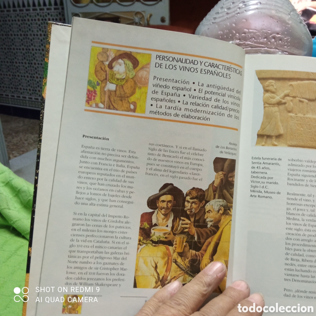 Libros: Manual de los vinos de Espa&ntilde;a, Ed. Everest.. - Foto 2
