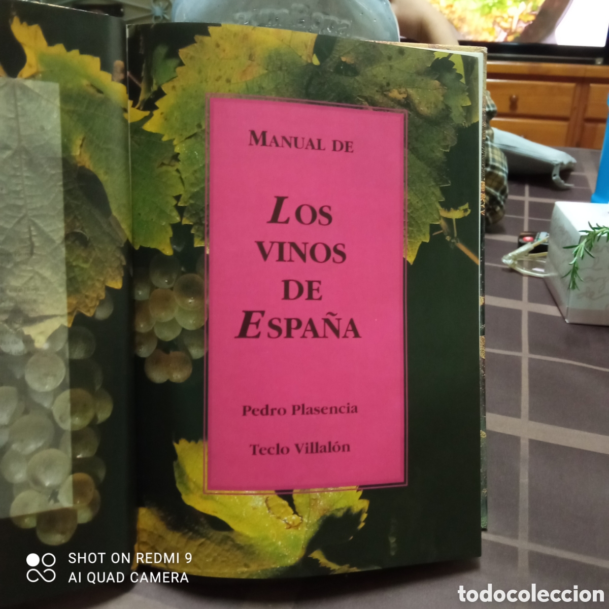 Libros: Manual de los vinos de Espa&ntilde;a, Ed. Everest.. - Foto 3