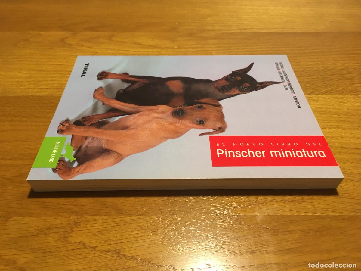 Libros: Libro sobre Pinscher Mini Ed. Tikal en castellano. - Foto 4